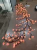 fleur 144led usb
