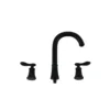 Black faucet (with one water jet)