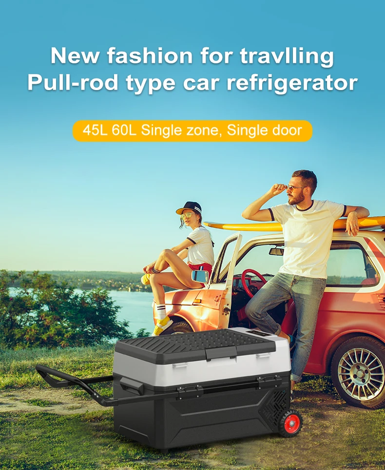 Electric Cooler Box Battery Powered Car Fridge Freezer Portable 60l