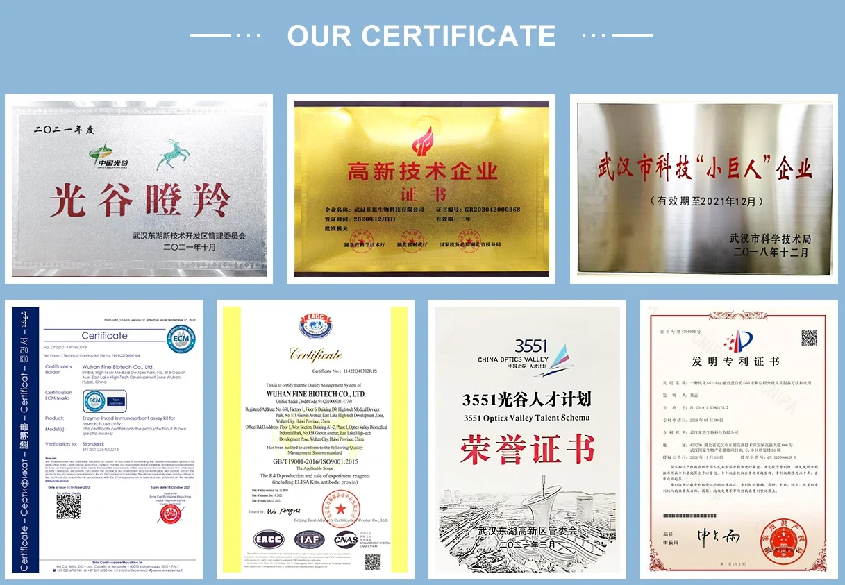 FineTest High Sensitivity BMP 2 ELISA Kit Scientific Research Chicken Bone Morphogenetic Protein 2 Assay Chemical Reagents