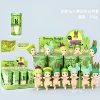 12 scatole - figurine di cactus