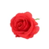 Rojo (pida en múltiplos de 50)