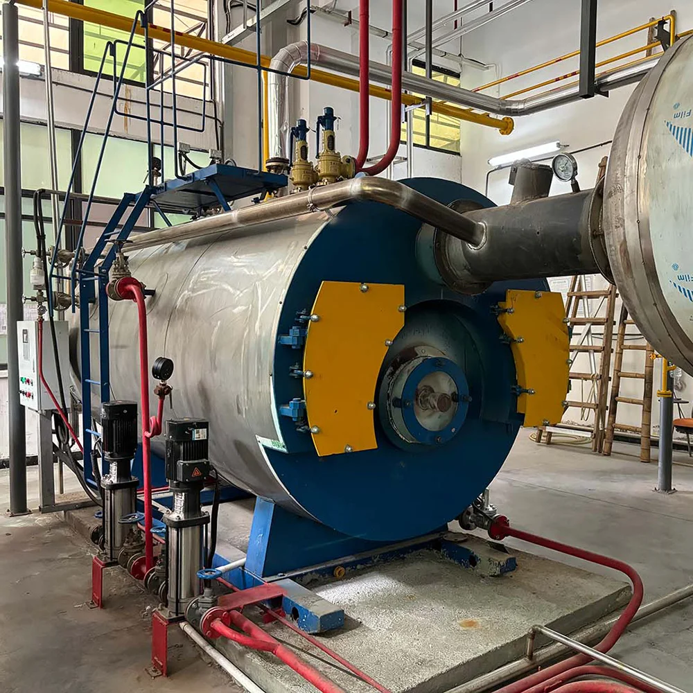 Steam Boiler, Natural Circulation - detail 14