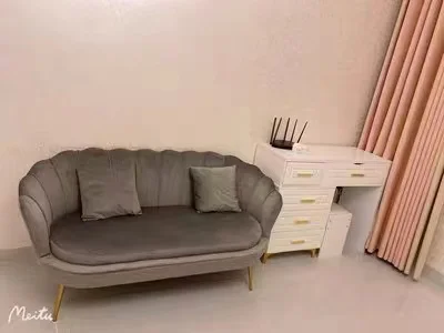 Best-Selling Two-Seater Luxury Living Room Furniture Novel Velvet Metal Leg Sofa Set Lazy Sectional Couch manufacture