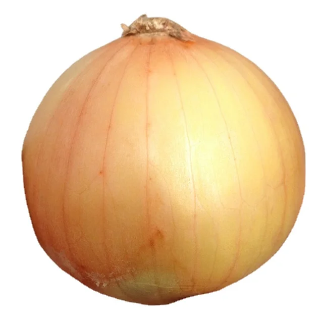Best Quality Red Onion 50/70mm China Fresh Town Supply