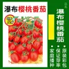 2# Pomodorini ciliegino 50 Grani