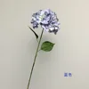 azul