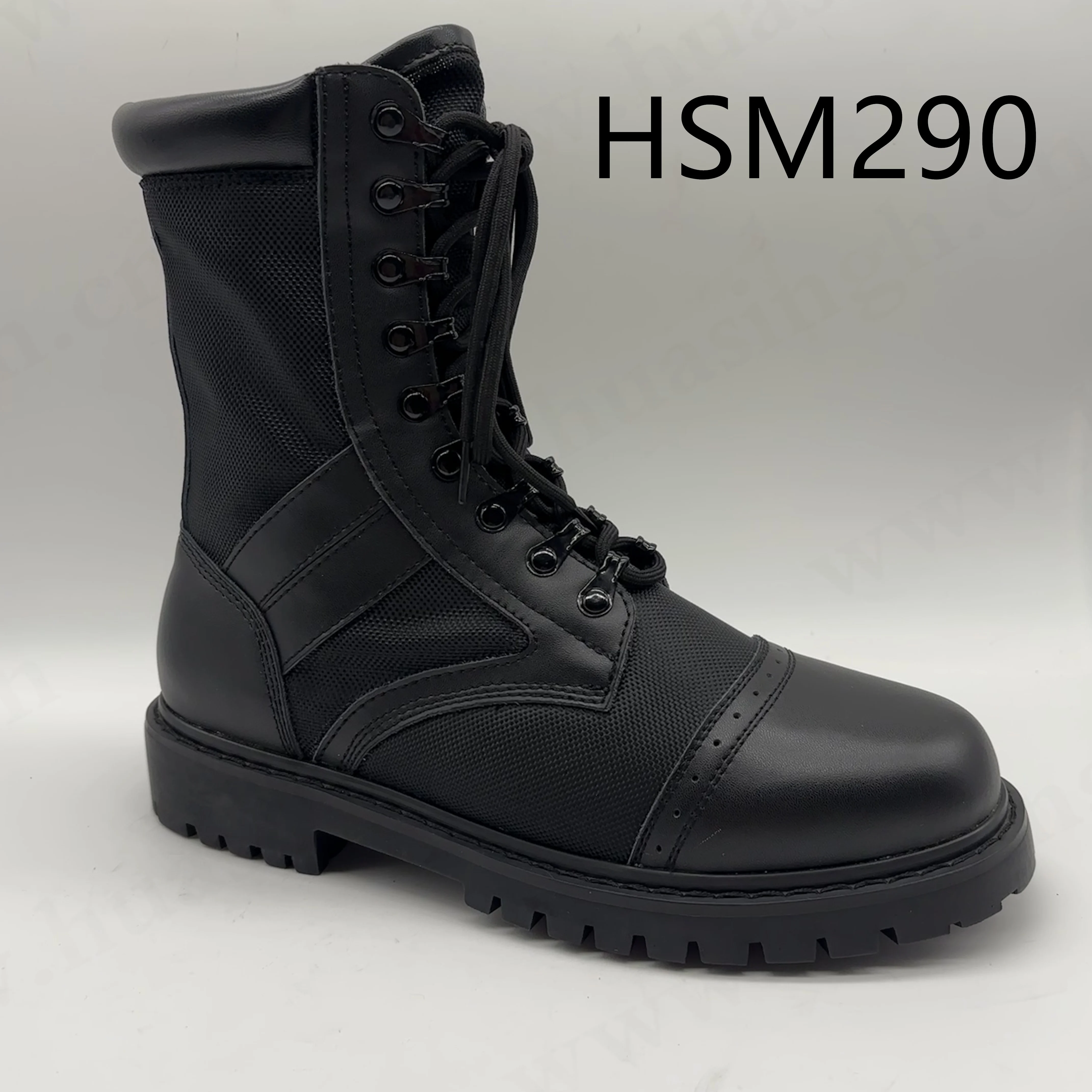 HSM290()_