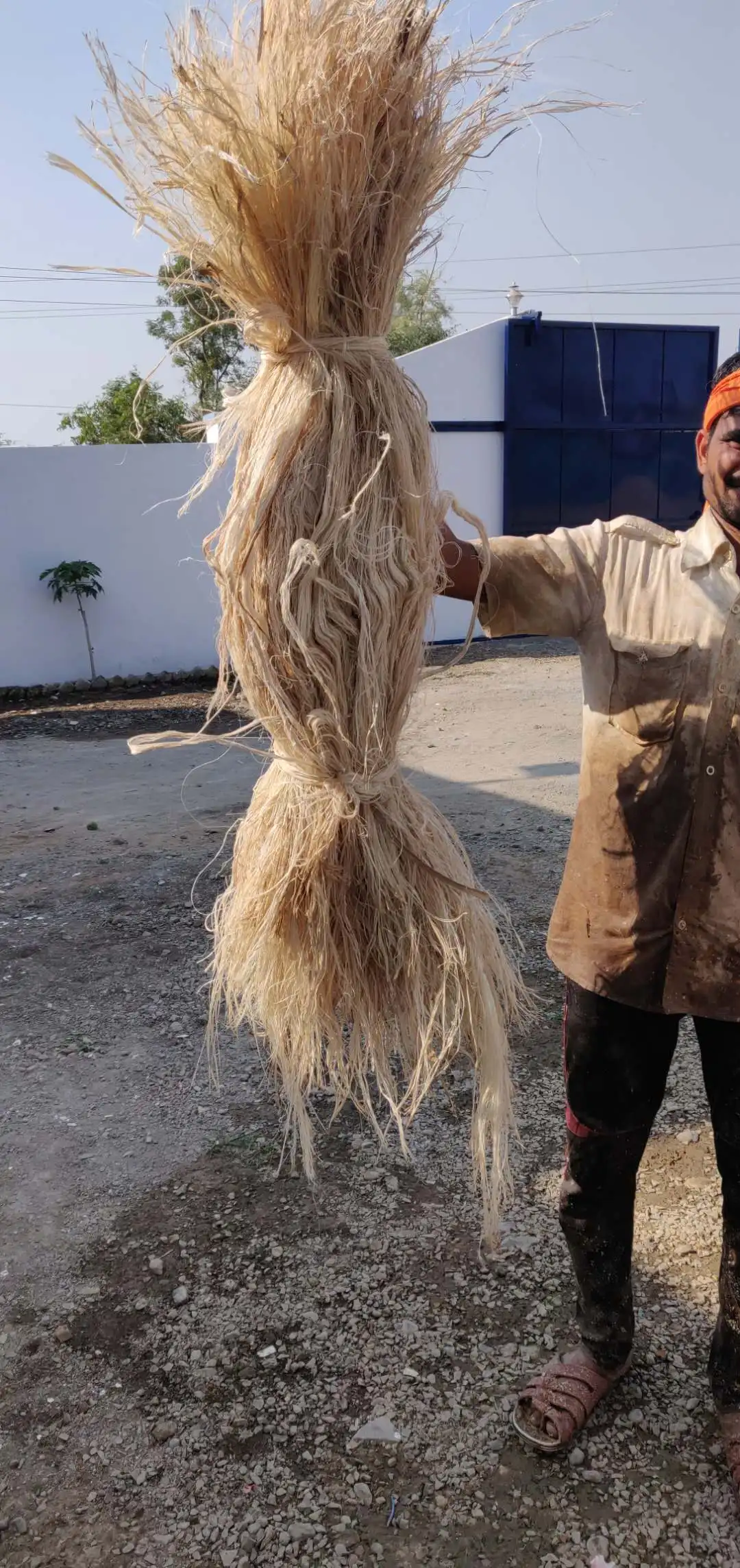 パイナップル繊維自動抽出機 + ローリングブラシマシン| Alibaba.com