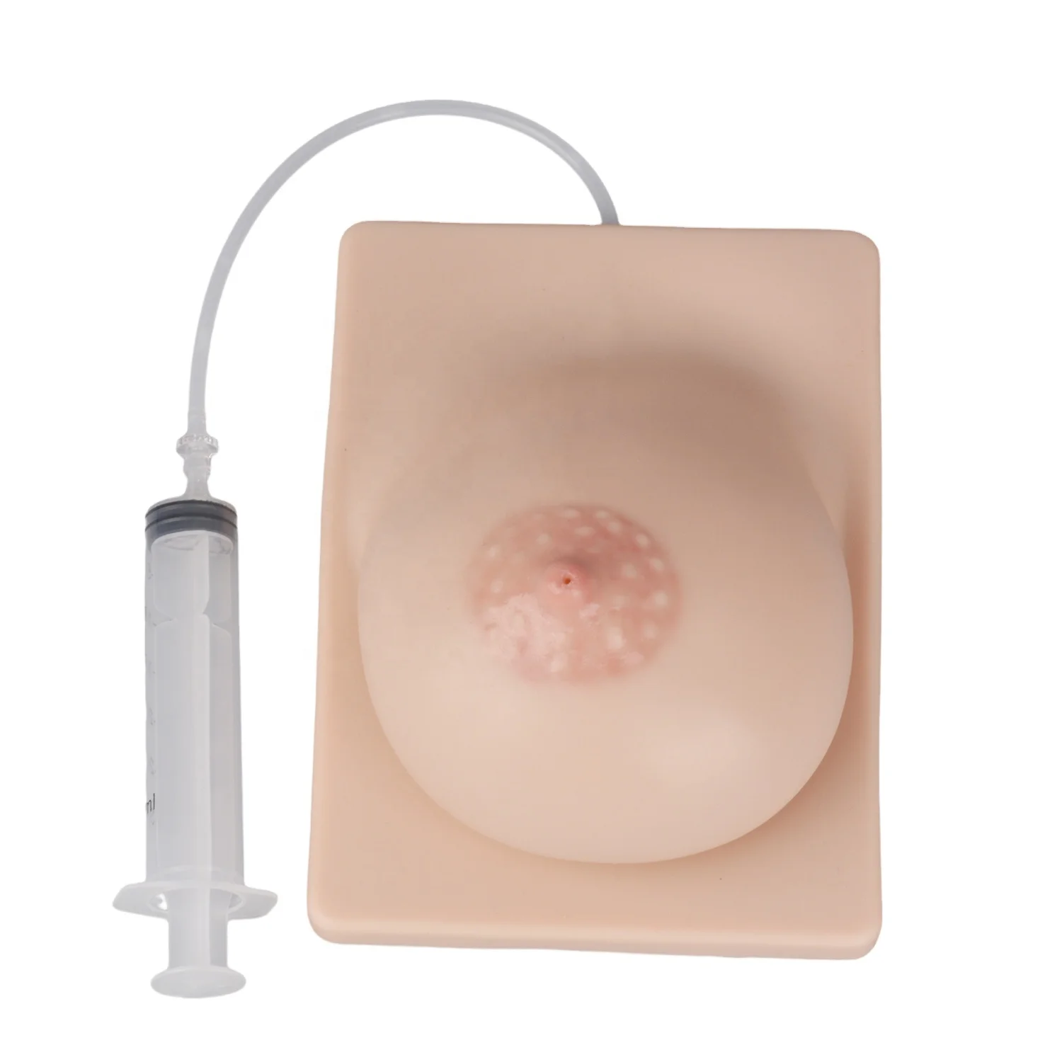 Lactating Breast Model for Mothers Lactation Consultant Breastfeeding Education