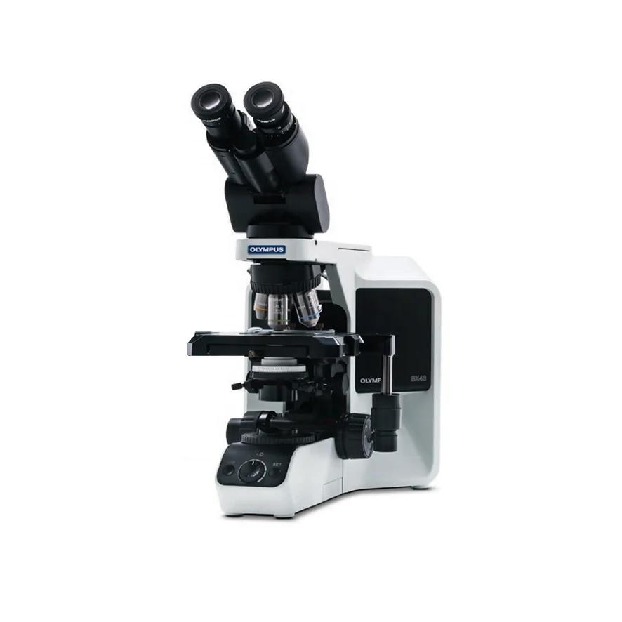 Lab Microscope Bx43f IN-BX43 Digital Binocular Microscope Laboratory Biological Compound ...