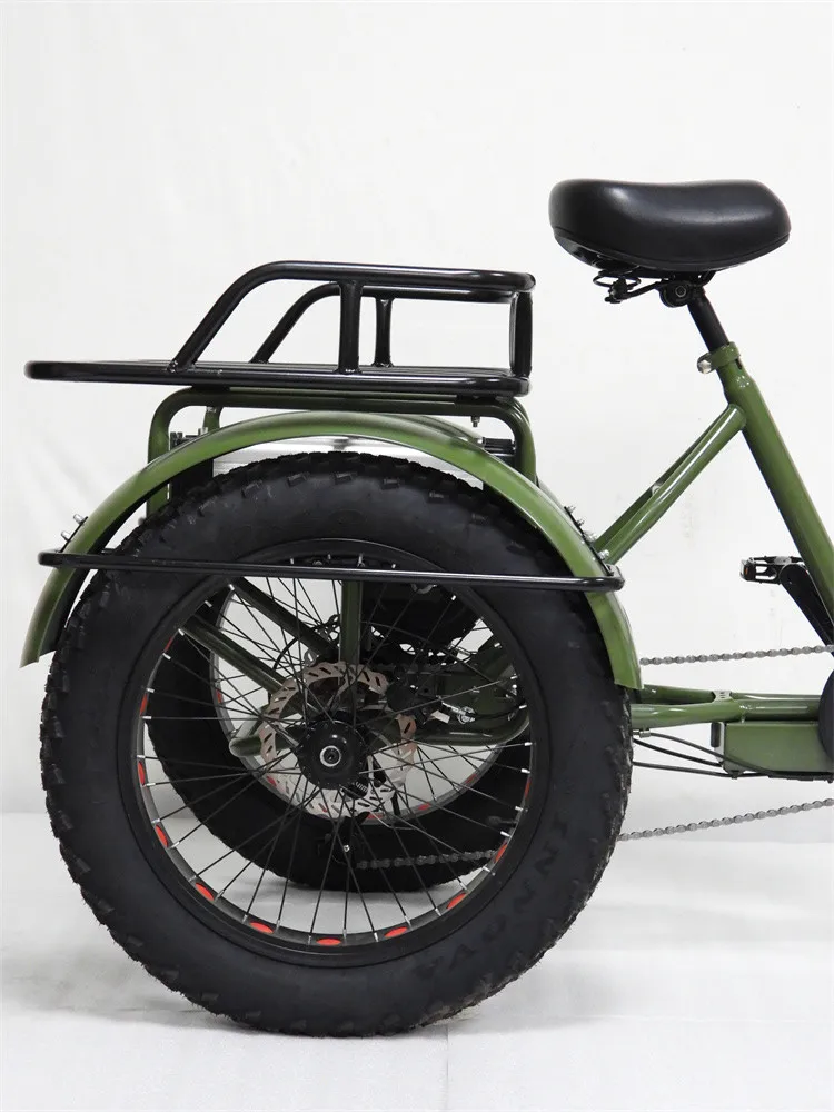 2024 New Electric Trike 3 Wheel Removable Battery Assisted Pedal Lcd