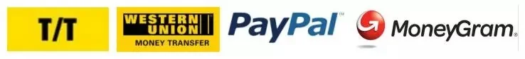 Biston Payment.jpg