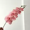 08-Rosa con manchas