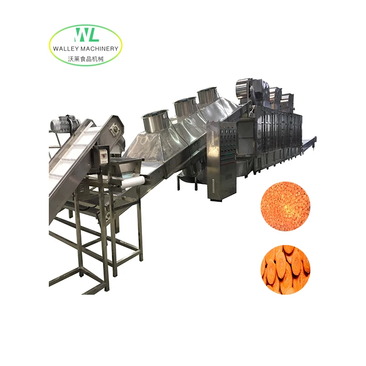 Customizing Continuous Single Layer Belt Dryer for Garlic and Onion