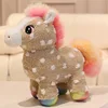 Sole arcobaleno marrone cavallo