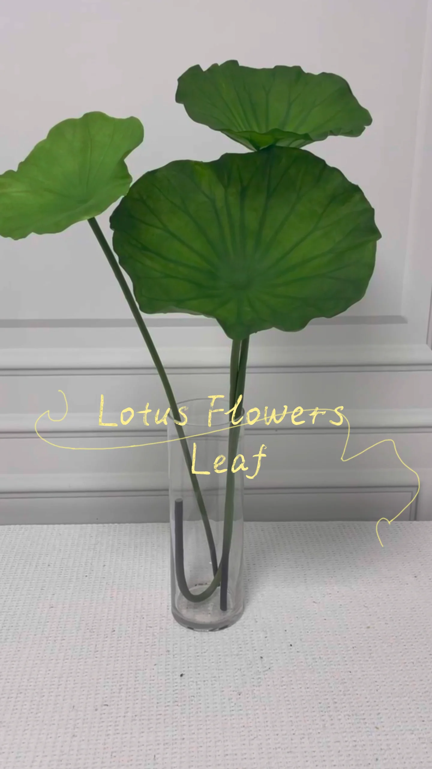 Wholesale Artificial Silk Lotus Flowers Lotus Leaf Lotus Seeds For
