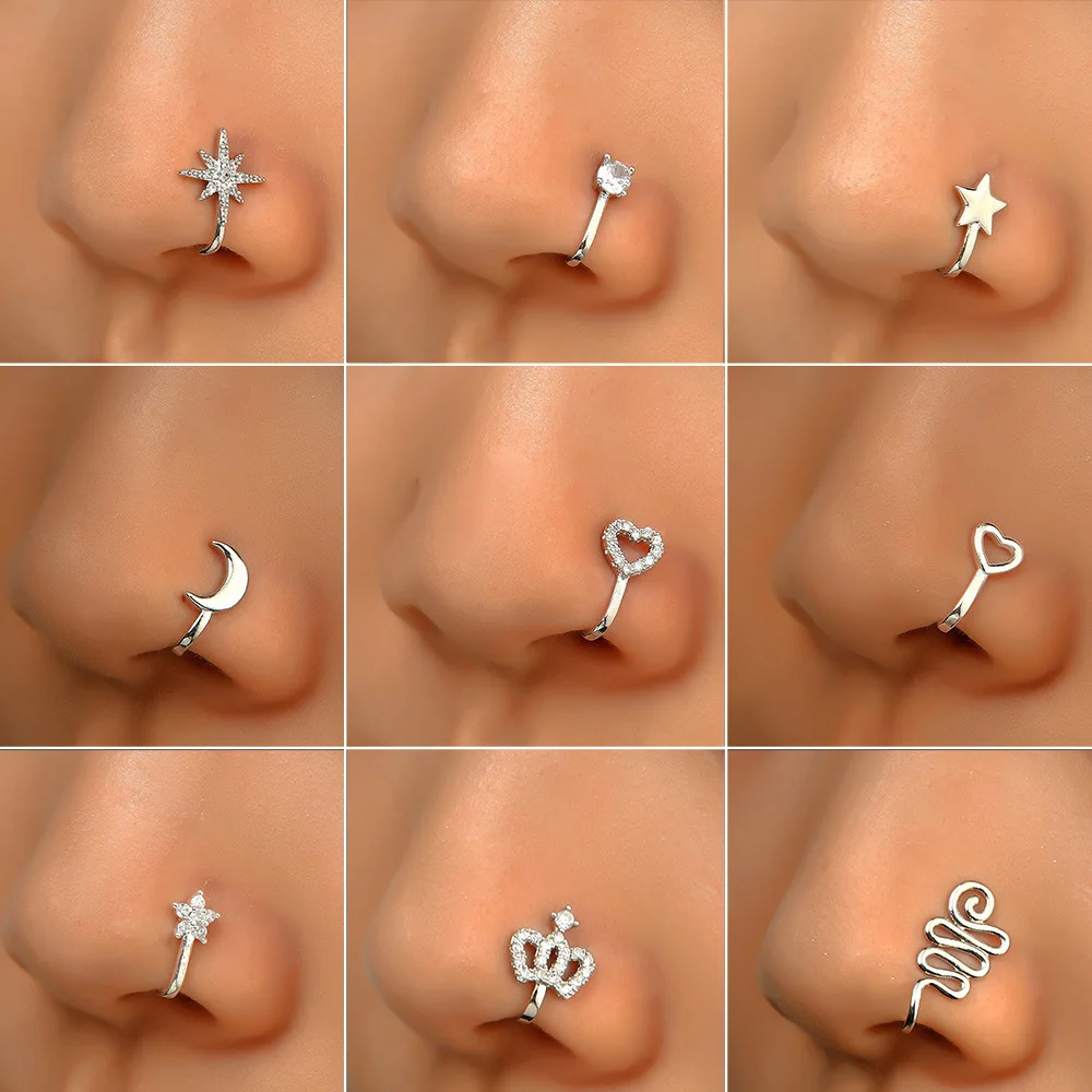 Lot De 12 Piercings De Nez En Acier Inoxydable - Tailles Et Formes Variées Avec Zircons - Pour Femmes Et Hommes