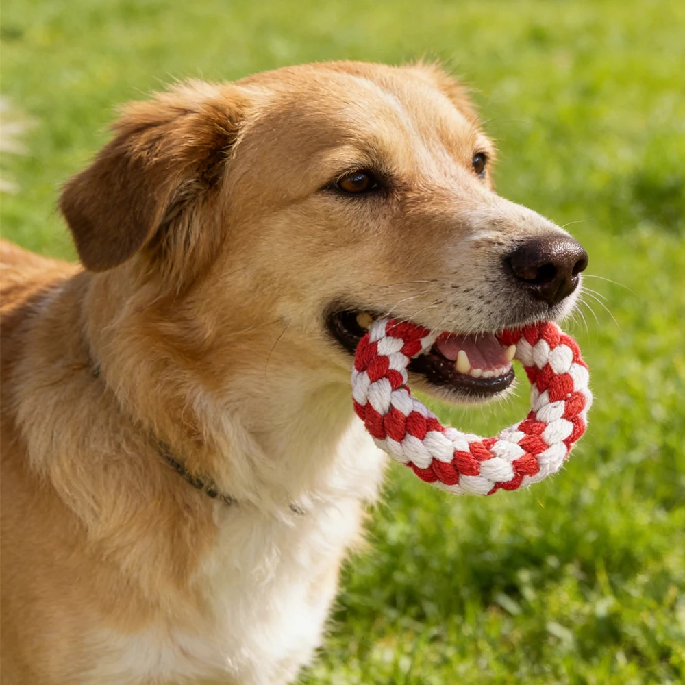 Christmas rope dog toy red white detail and rope construction
