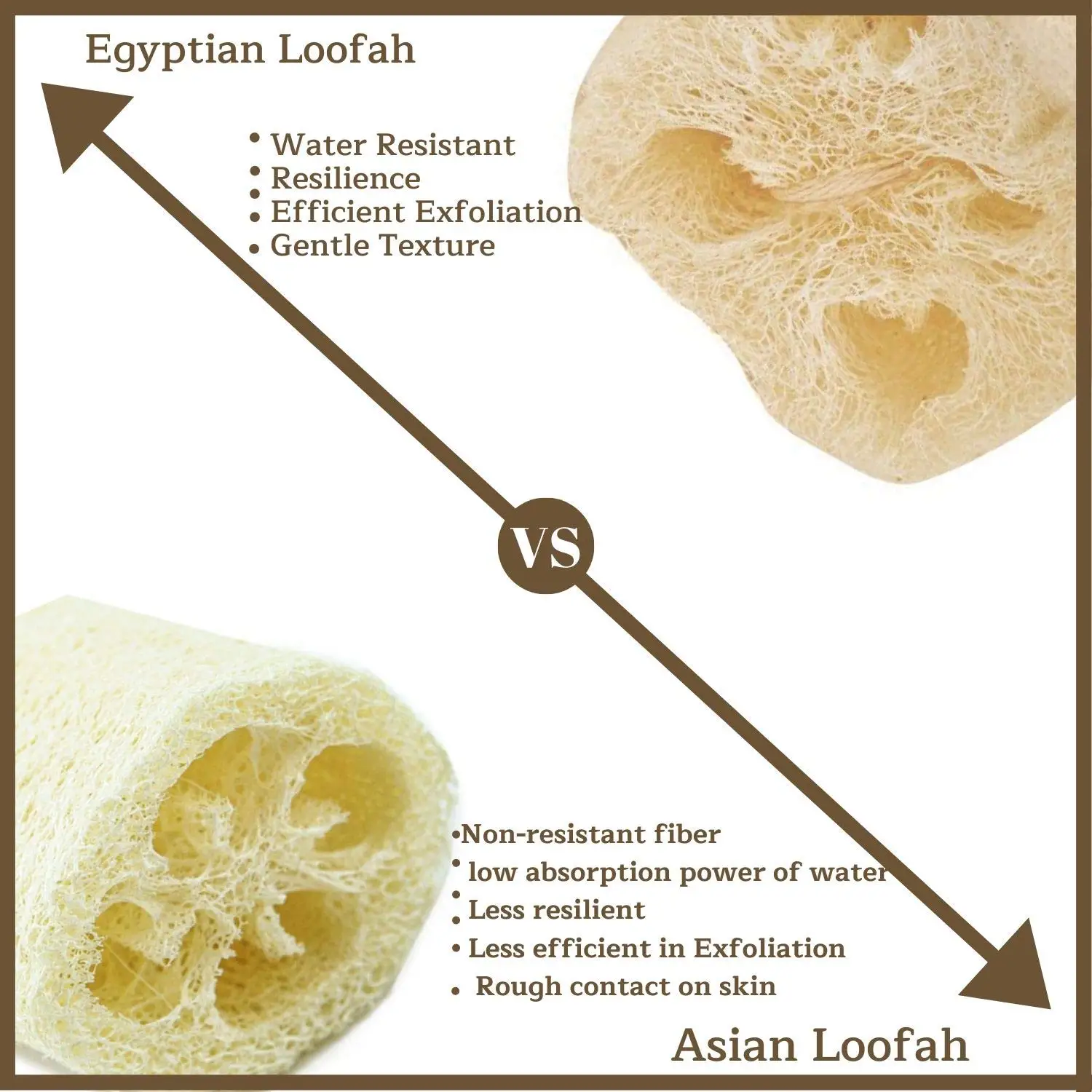 Eco Bath London Natürliche Luffa – 12,7 Cm, Mit Schnur, Für Gründliche Hautpeeling