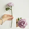 Pourpre