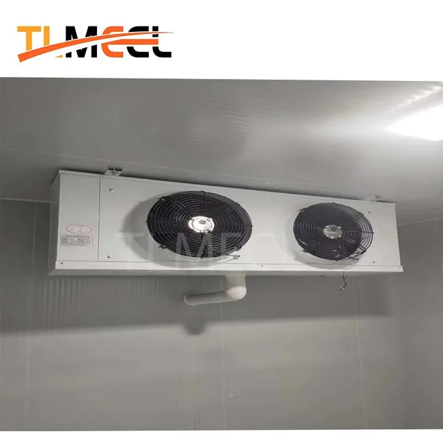 Customized Freezer Container Cold Storage Room Mobile Freezing Equipment Cold Room Storage