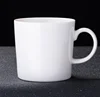 Cat cup