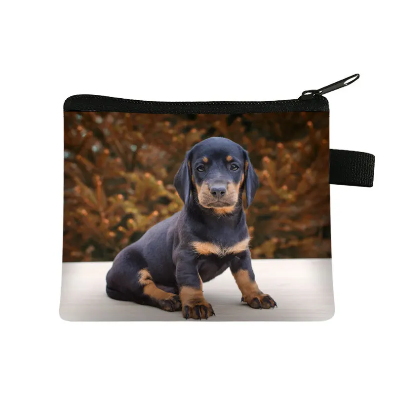 dachshund lunch bolsa