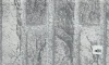 ZW004