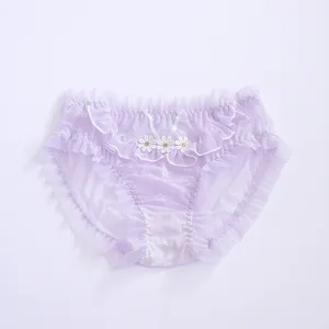 Women's Sexy Cute Sheer Lace High Cut Thong Panties with Embroidery Decoration Silk Knitted Plain Dyed Eco-Friendly
