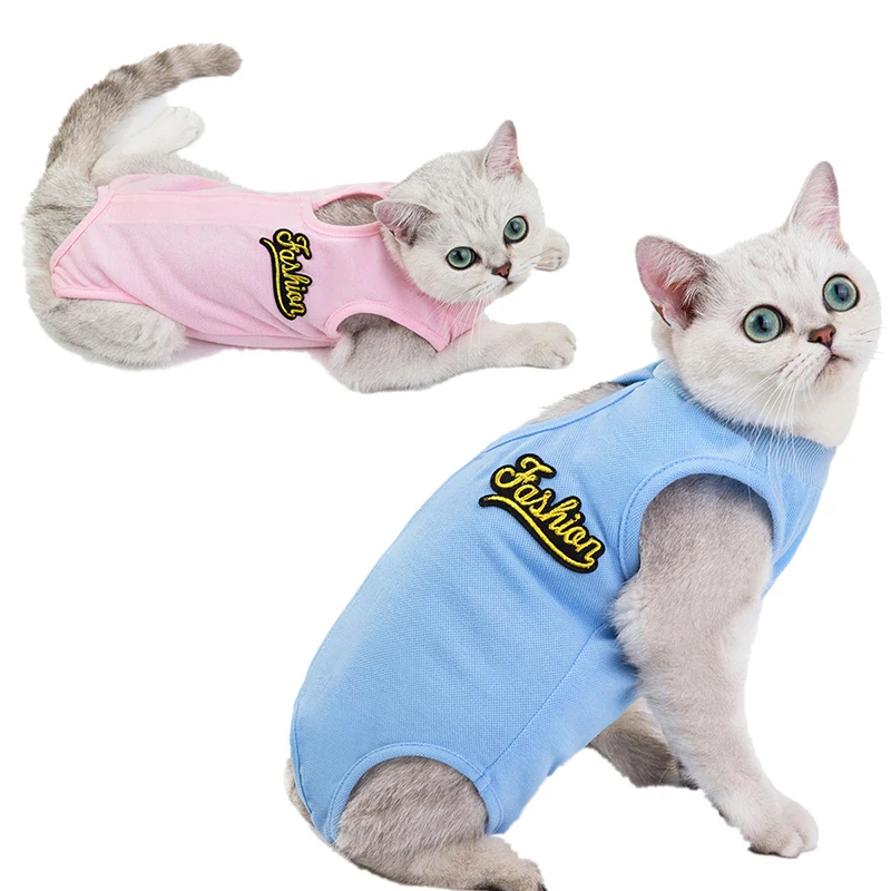 eid clothes for cats