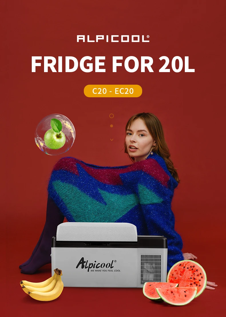 Alpicool C20 20l Single Zone Compressor Portable Mini Car Fridges Mobile Refrigerator Buy