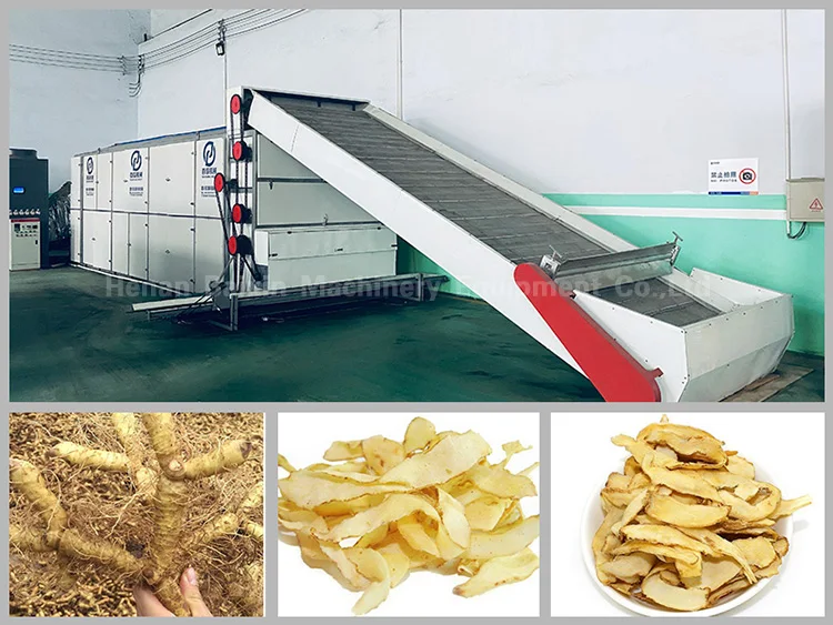 industrial electric mini heat pump food dehydrator equipment fruit tray dryer oven vegetable drying machine