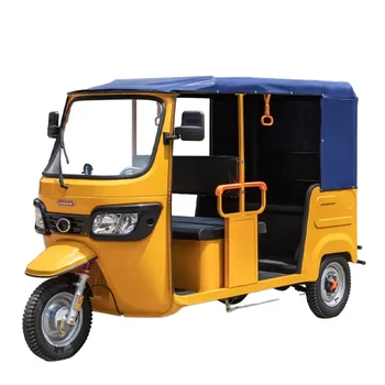 Hot Sale 2200W Electric Passenger Tricycle EEC Certified Auto 3 Wheeler Tuk Tuk Taxi Adults Steel Material 500kg Curb Open