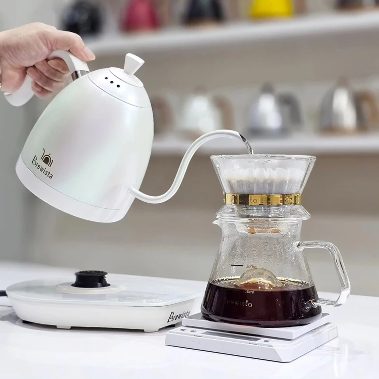 Brewista Electric Pour over Kettle - Fast & Precise Brewing