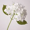 Huella de mano coral mágico hortensia-blanco