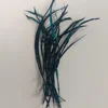 2 Negro y Verde