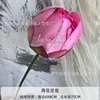 lotus buds