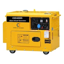 4kW/4kva smooth and stable output allows it to safely and efficiently power low oil alert system Manufacturer