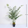 Debao Cycas revoluta 160cm (comes with black base)