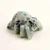 Kiwi stone spider