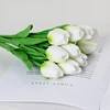Bianco-verde