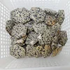 Diaspro dalmata