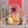 Pourpre