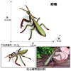 Mantis M-659 colorido