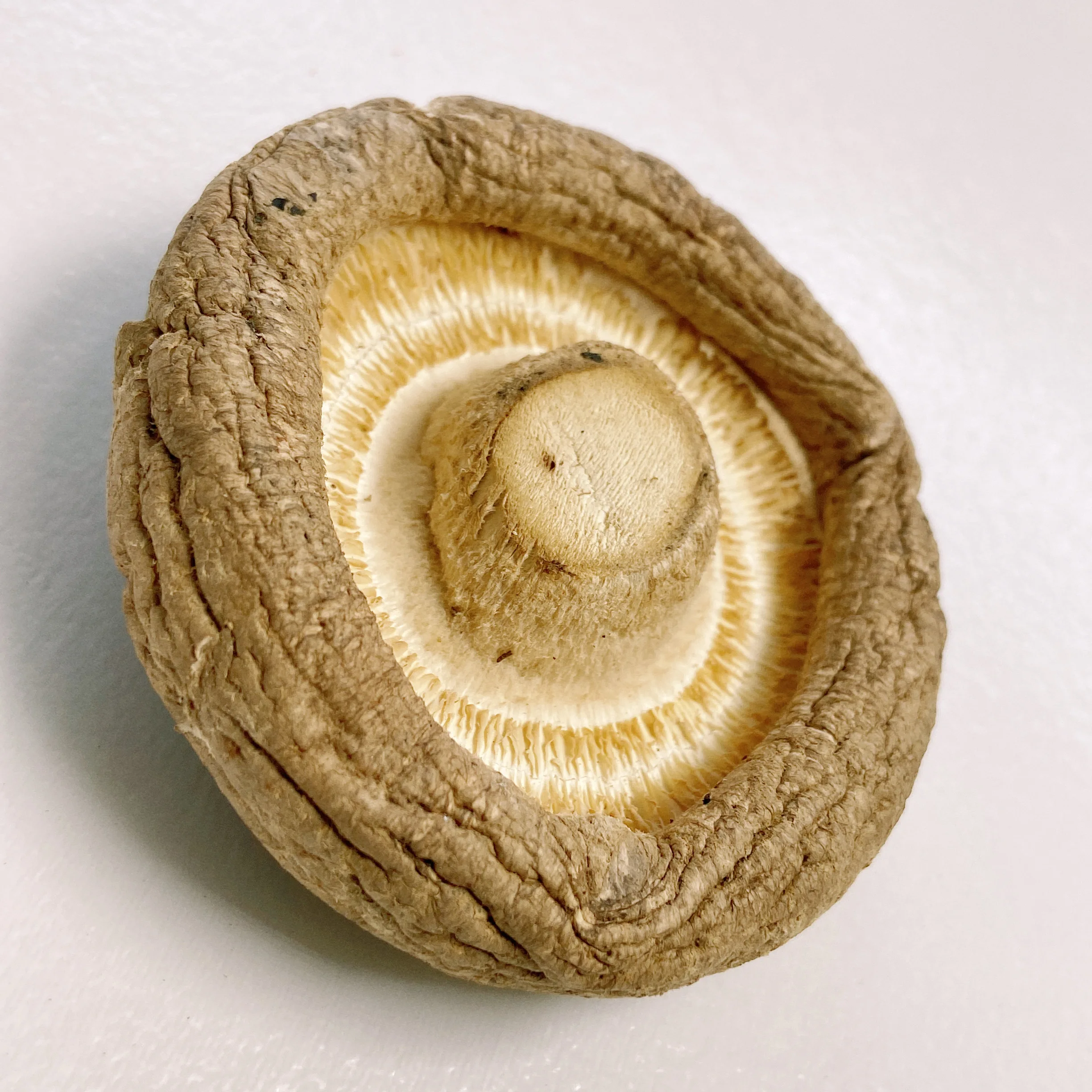 Распродажа, органические сушеные грибы хорошего качества, цена, сушеные грибы на продажу