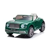 Verde (Equipado con control remoto R/C)