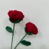 Red rose