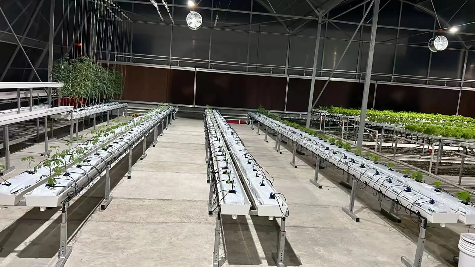 vertical hydroponic systems