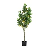 Verde 120cm